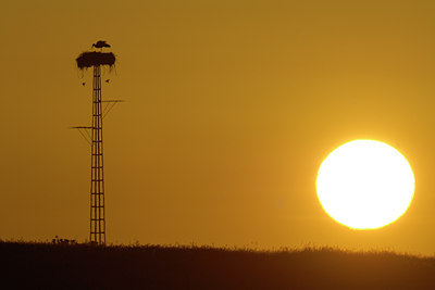 BUITEN BEELD Foto: 109