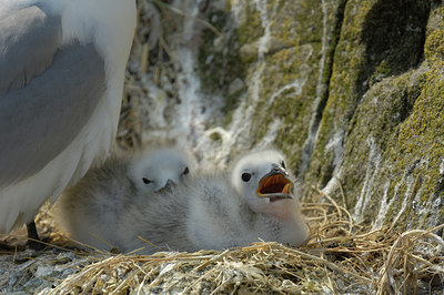 BUITEN BEELD Foto: 273