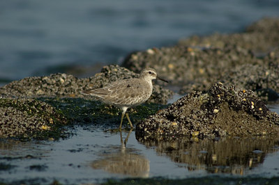 BUITEN BEELD Foto: 480