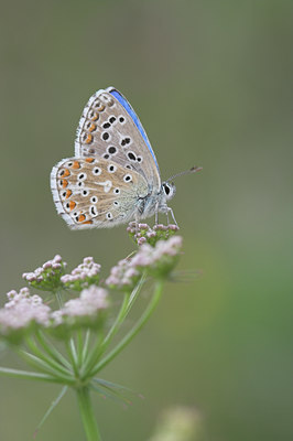 BUITEN BEELD Foto: 781