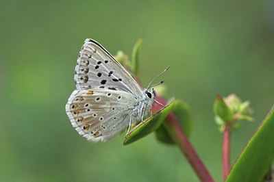 BUITEN BEELD Foto: 795