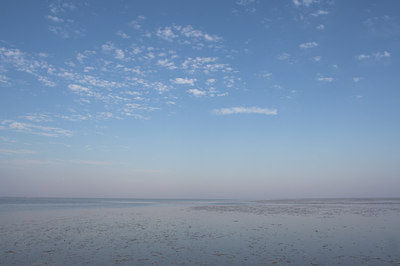 BUITEN BEELD Foto: 842