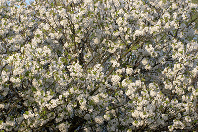 BUITEN BEELD Foto: 9048