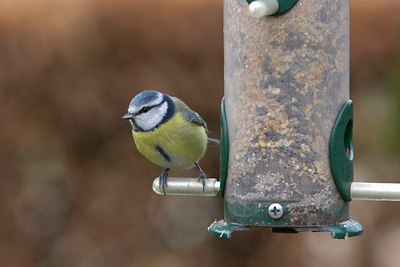 BUITEN BEELD Foto: 9209
