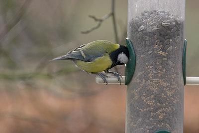 BUITEN BEELD Foto: 9212