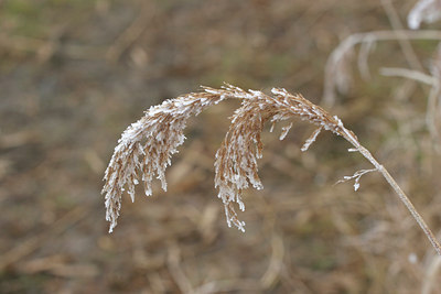 BUITEN BEELD Foto: 9218