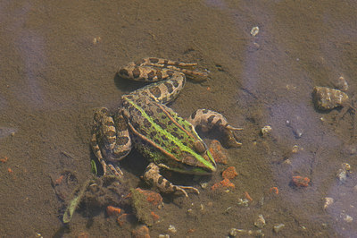 BUITEN BEELD Foto: 9303