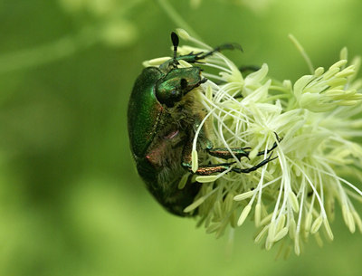 BUITEN BEELD Foto: 9375