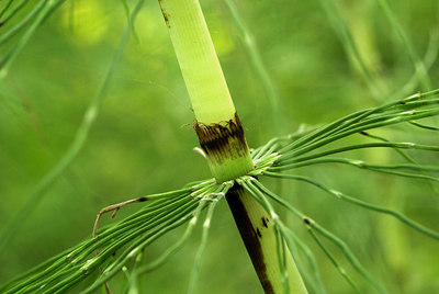 BUITEN BEELD Foto: 9379