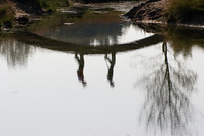 BUITEN BEELD Foto: 9409