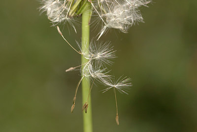 BUITEN BEELD Foto: 9448