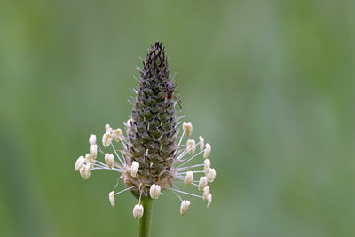 BUITEN BEELD Foto: 9450