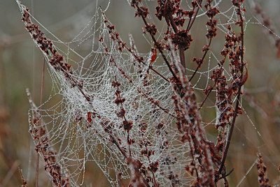 BUITEN BEELD Foto: 9454