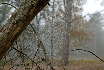 BUITEN BEELD Foto: 9476