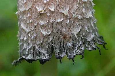 BUITEN BEELD Foto: 9542