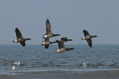 BUITEN BEELD Foto: 9671