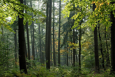 BUITEN BEELD Foto: 9723
