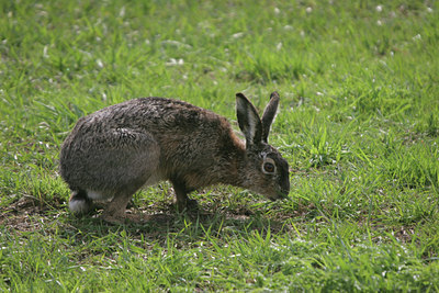 BUITEN BEELD Foto: 9734