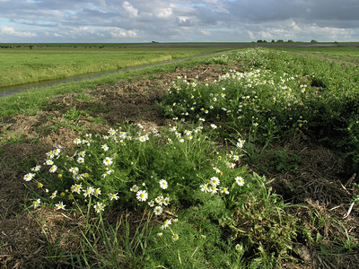 BUITEN BEELD Foto: 9986