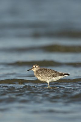 BUITEN BEELD Foto: 9987
