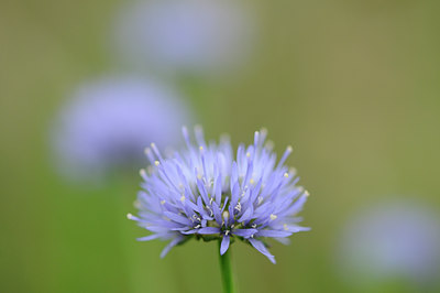 BUITEN BEELD Foto: 99000