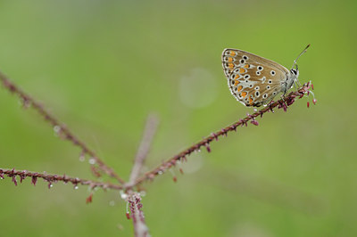BUITEN BEELD Foto: 99019