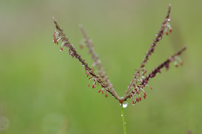 BUITEN BEELD Foto: 99025