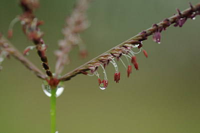BUITEN BEELD Foto: 99026