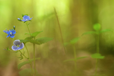 BUITEN BEELD Foto: 99040