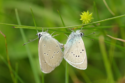 BUITEN BEELD Foto: 99080