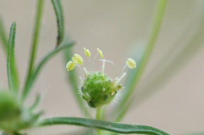 BUITEN BEELD Foto: 99130