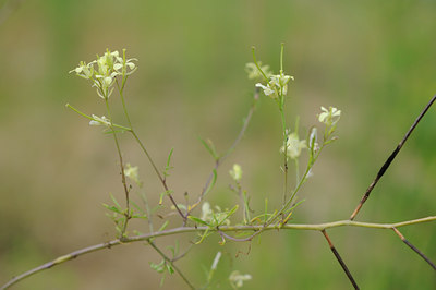 BUITEN BEELD Foto: 99133