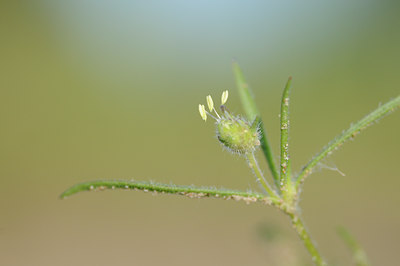 BUITEN BEELD Foto: 99140