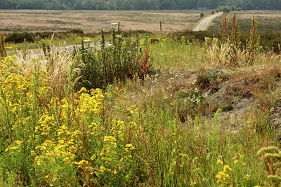 BUITEN BEELD Foto: 99269