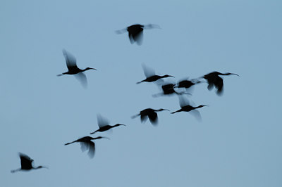 BUITEN BEELD Foto: 99323