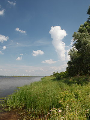 BUITEN BEELD Foto: 99331