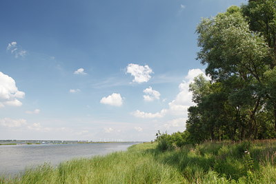 BUITEN BEELD Foto: 99336