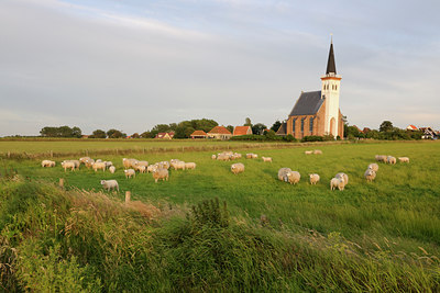 BUITEN BEELD Foto: 99354