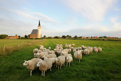 BUITEN BEELD Foto: 99355