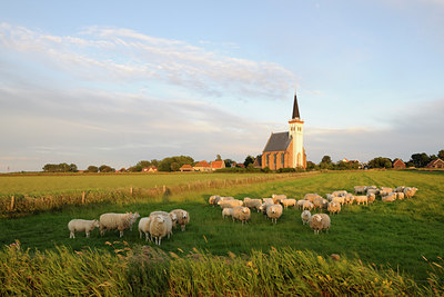 BUITEN BEELD Foto: 99356