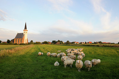 BUITEN BEELD Foto: 99357