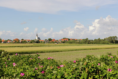 BUITEN BEELD Foto: 99358