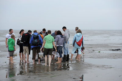 BUITEN BEELD Foto: 99378