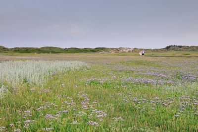 BUITEN BEELD Foto: 99379