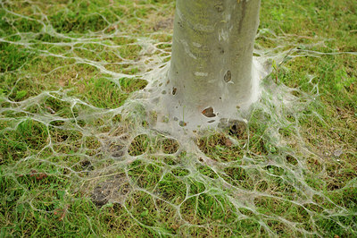 BUITEN BEELD Foto: 99402