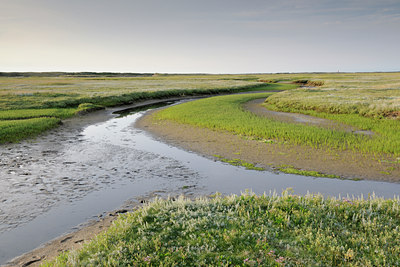 BUITEN BEELD Foto: 99416