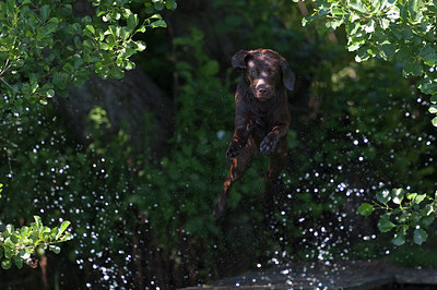 BUITEN BEELD Foto: 99432