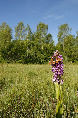 BUITEN BEELD Foto: 99465