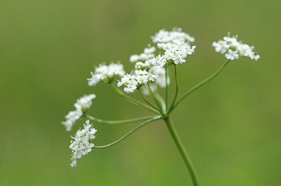 BUITEN BEELD Foto: 99480