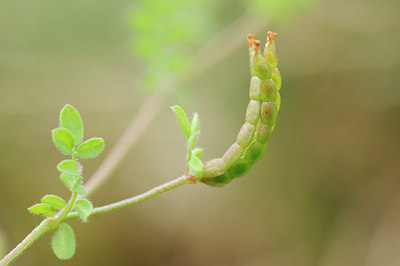 BUITEN BEELD Foto: 99482